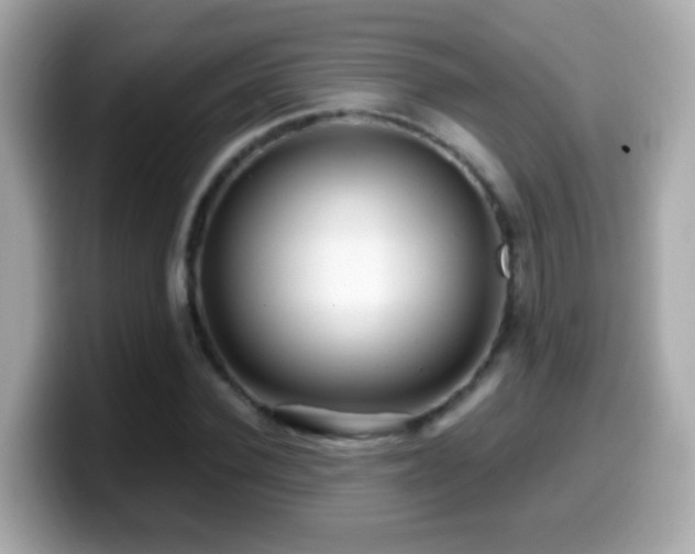 X0000099960924200805231338