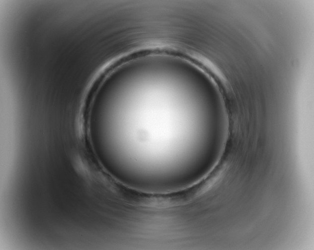 X0000099960927200805231338