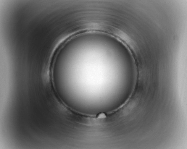 X0000099960928200805231338