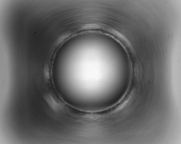X0000099960929200805231338