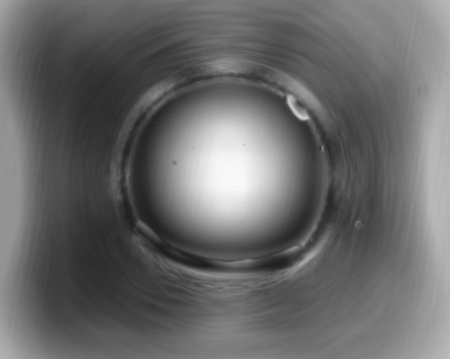 X0000099960930200805231338