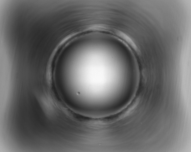 X0000099960931200805231338