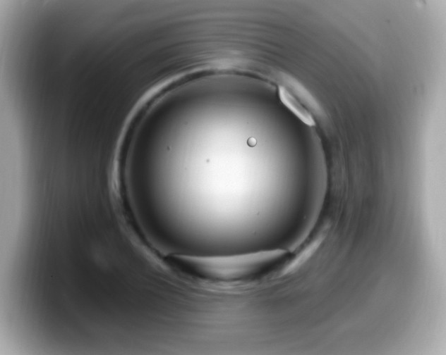 X0000099960932200805231338