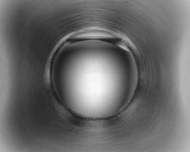 X0000099960934200805231338