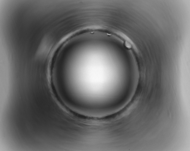 X0000099960935200805231338