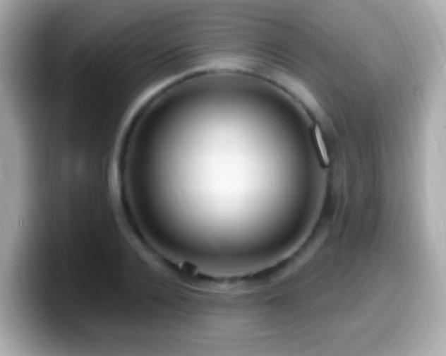 X0000099960936200805231338