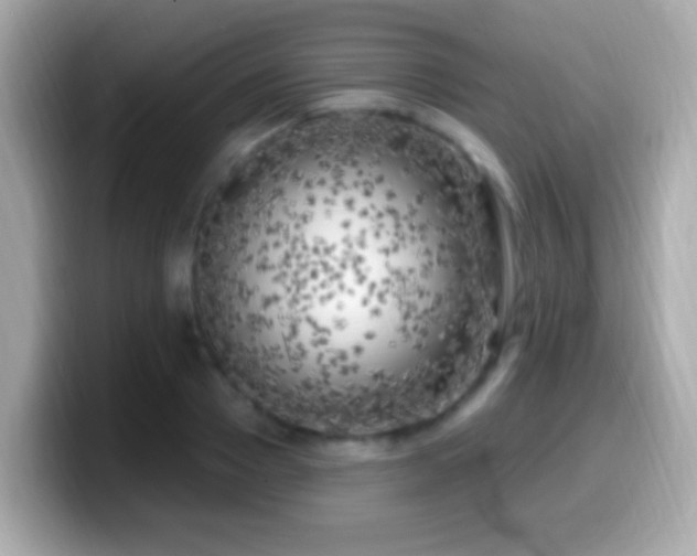 X0000099960937200805231338