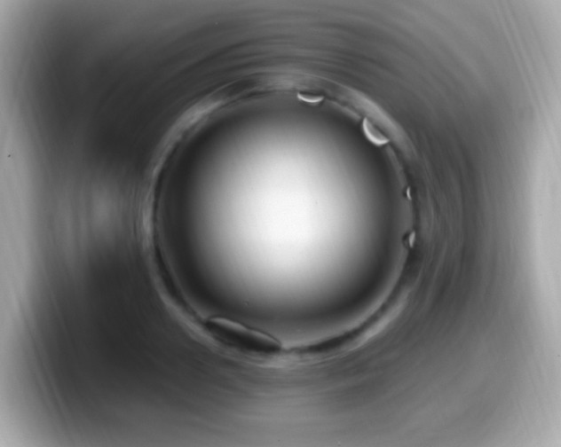 X0000099960938200805231338