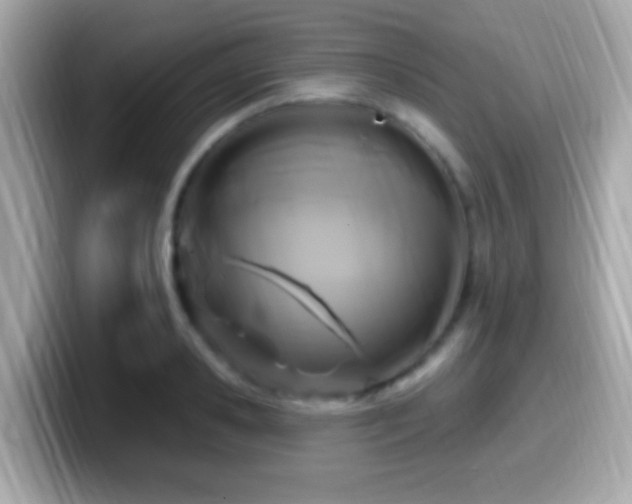X0000099960941200805231338