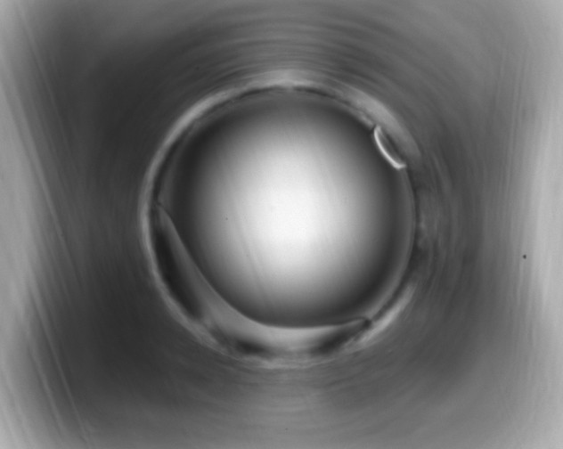X0000099960942200805231338