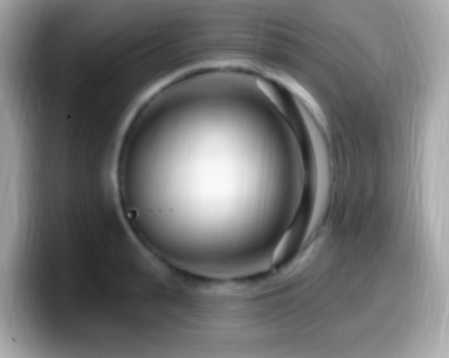X0000099960943200805231338