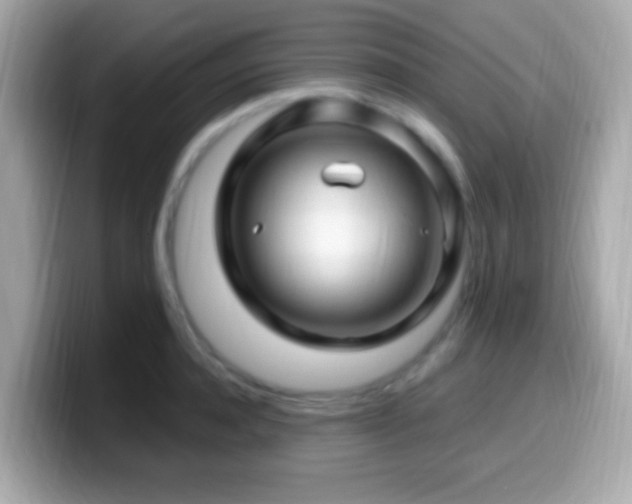 X0000099960944200805231338