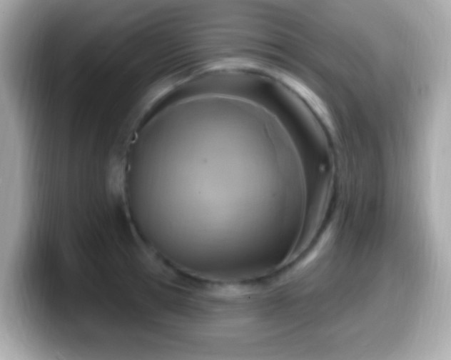 X0000099960945200805231338