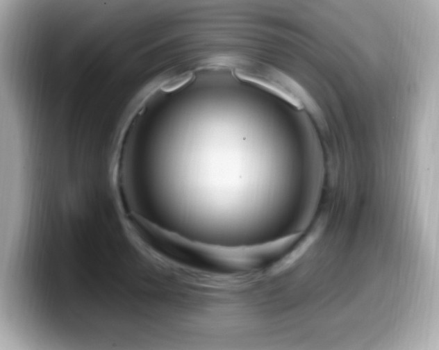 X0000099960946200805231338