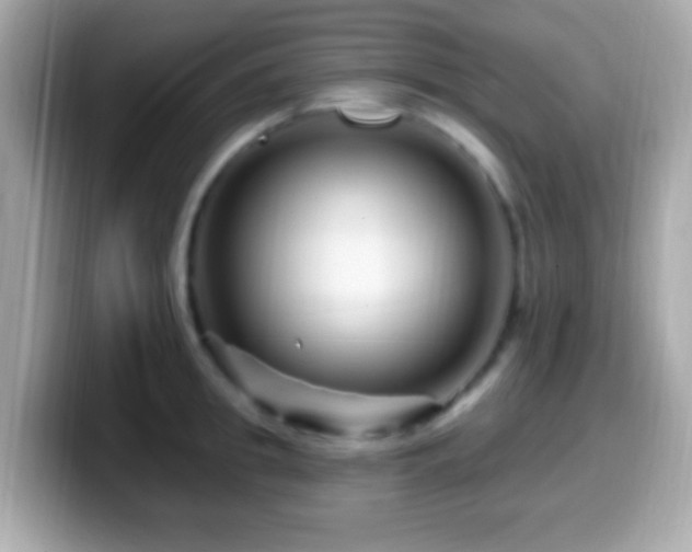 X0000099960949200805231338