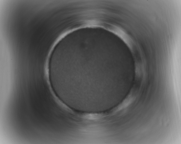 X0000099960950200805231338