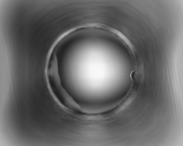 X0000099960951200805231338