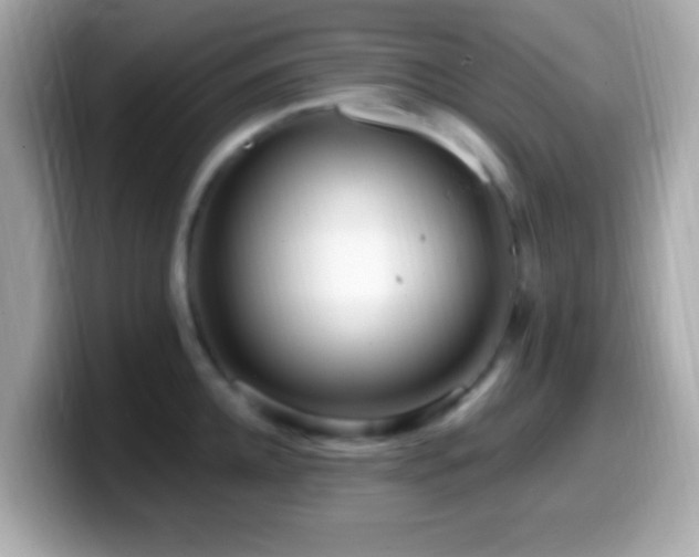 X0000099960952200805231338