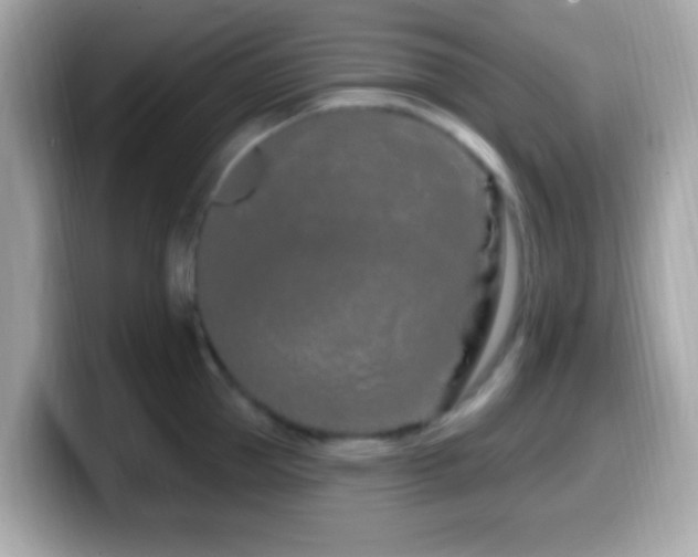 X0000099960953200805231338