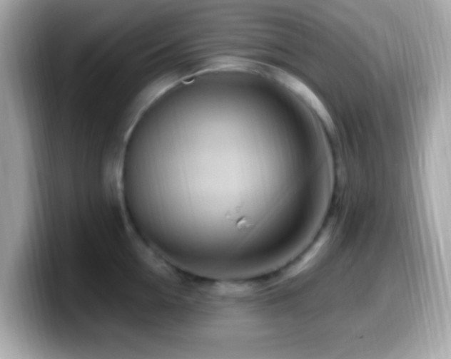 X0000099960954200805231338