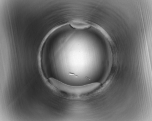 X0000099960955200805231339