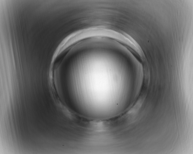 X0000099960956200805231339