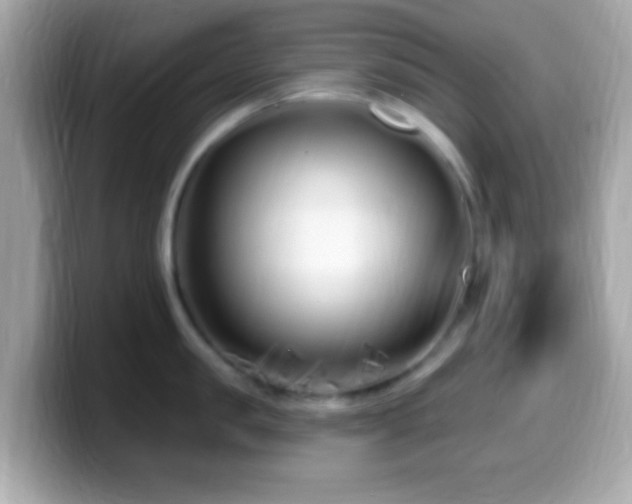 X0000099960957200805231339