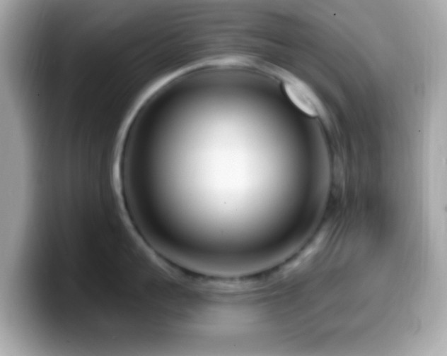 X0000099960959200805231339