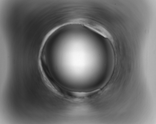 X0000099960960200805231339
