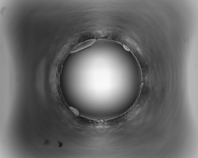 X0000099960961200805231338