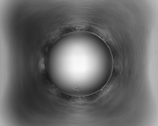 X0000099960962200805231338