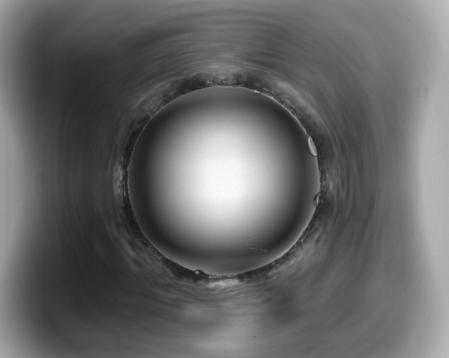 X0000099960964200805231338