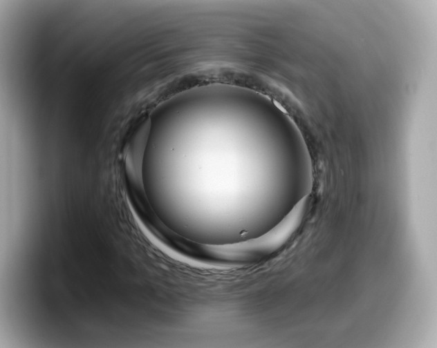X0000099960965200805231338
