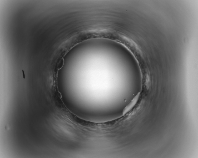 X0000099960966200805231338