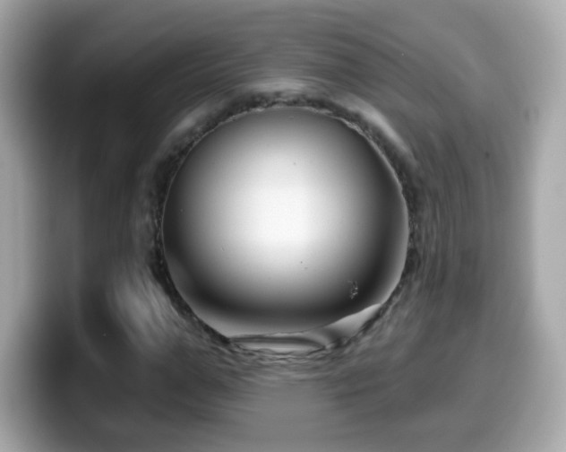 X0000099960967200805231338