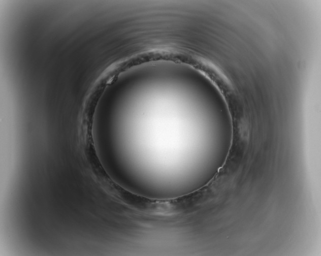 X0000099960968200805231338