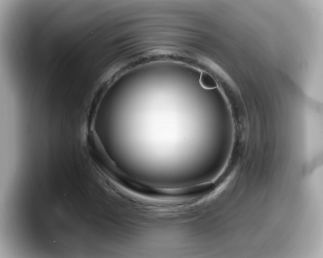 X0000099960969200805231338