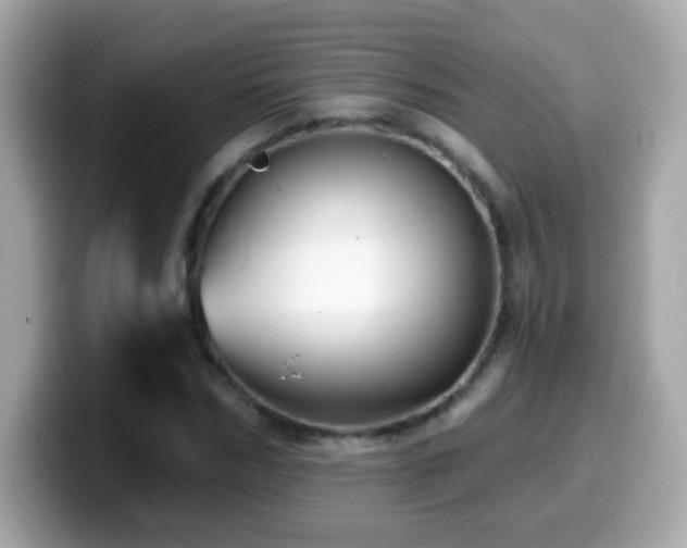 X0000099960970200805231338