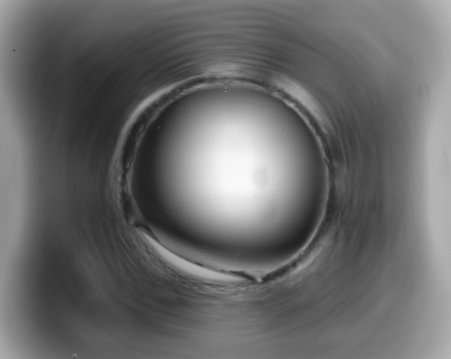 X0000099960971200805231338