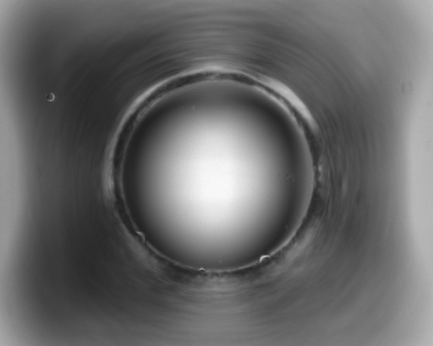 X0000099960972200805231338