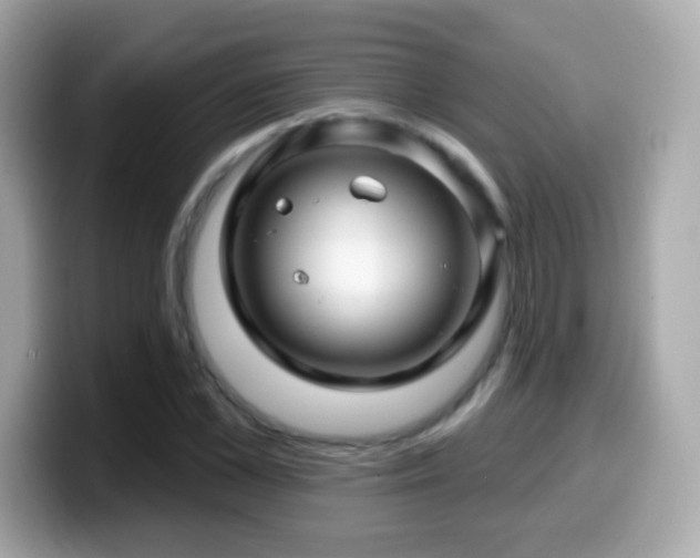 X0000099960973200805231338