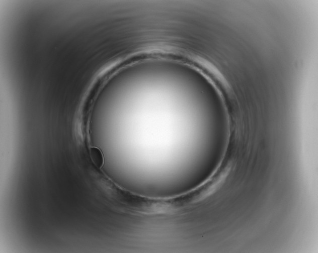 X0000099960974200805231338