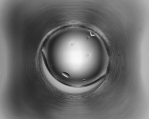 X0000099960975200805231338
