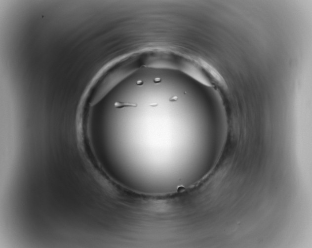 X0000099960976200805231338