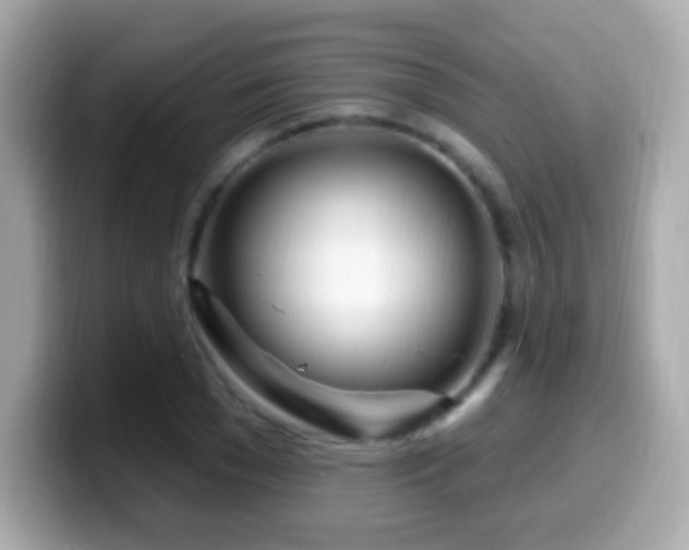 X0000099960977200805231338