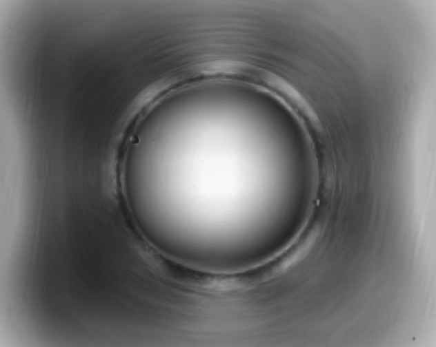 X0000099960978200805231338