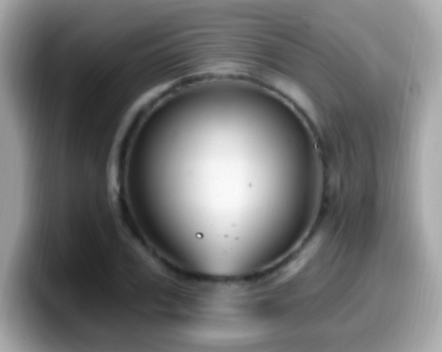 X0000099960979200805231338