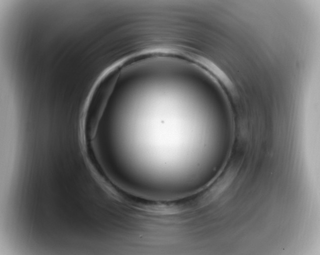 X0000099960980200805231338