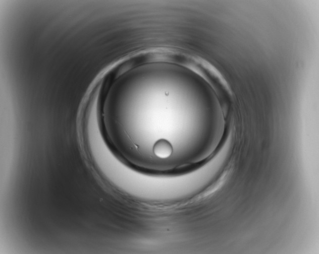 X0000099960981200805231338