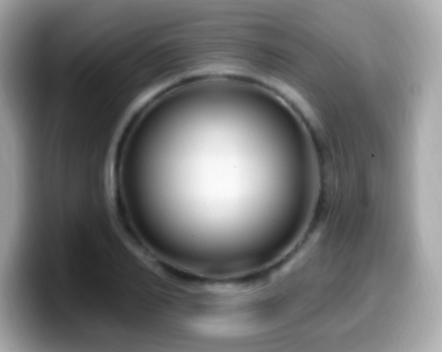 X0000099960982200805231338